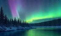 Elias Thorne's photo of the Northern Lights over a forest